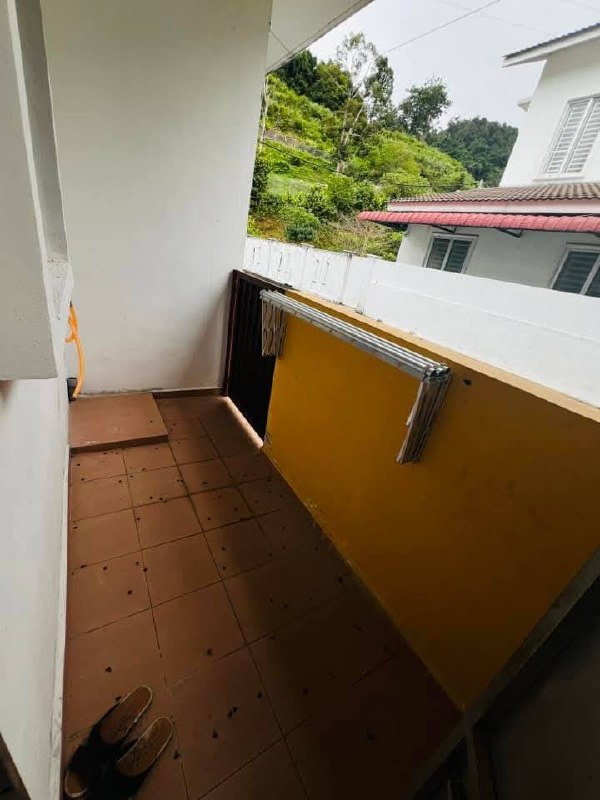 TAMAN TUNKU SARINA 3 (AZZALEA) 📍 | RENOVATED | TERES 2 TINGKAT | CASHBACK RM40,000 | ZERO DEPOSIT | BOOKING 1K 11