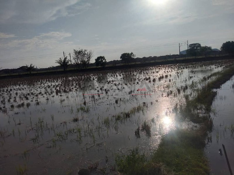 TANAH BENDANG ALOR MERAH 📍 | TANAH PERTANIAN | ZERO DEPOSIT | BOOKING 1K